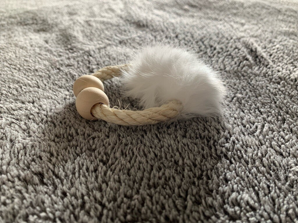 Apportierring „Fun“ – Der perfekte Wurf- und Apportierspaß für deine Katze