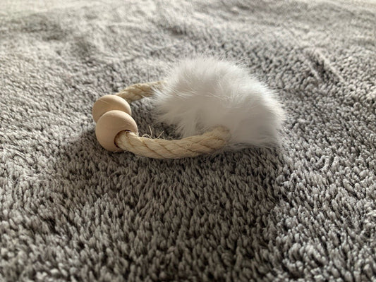 Apportierring „Fun“ – Der perfekte Wurf- und Apportierspaß für deine Katze