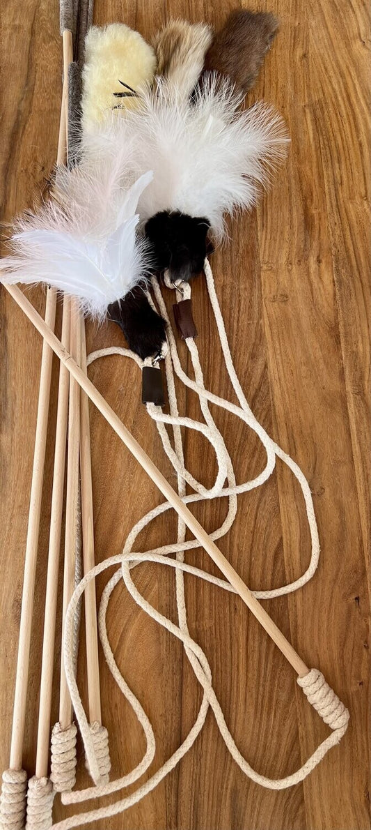 Spielangel „Switch“ – Flexible Spielmöglichkeiten für neugierige Katzen