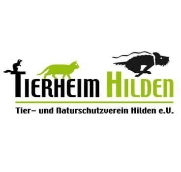 Spielepaket für das Tierheim Hilden – Freude schenken und Gutes tun