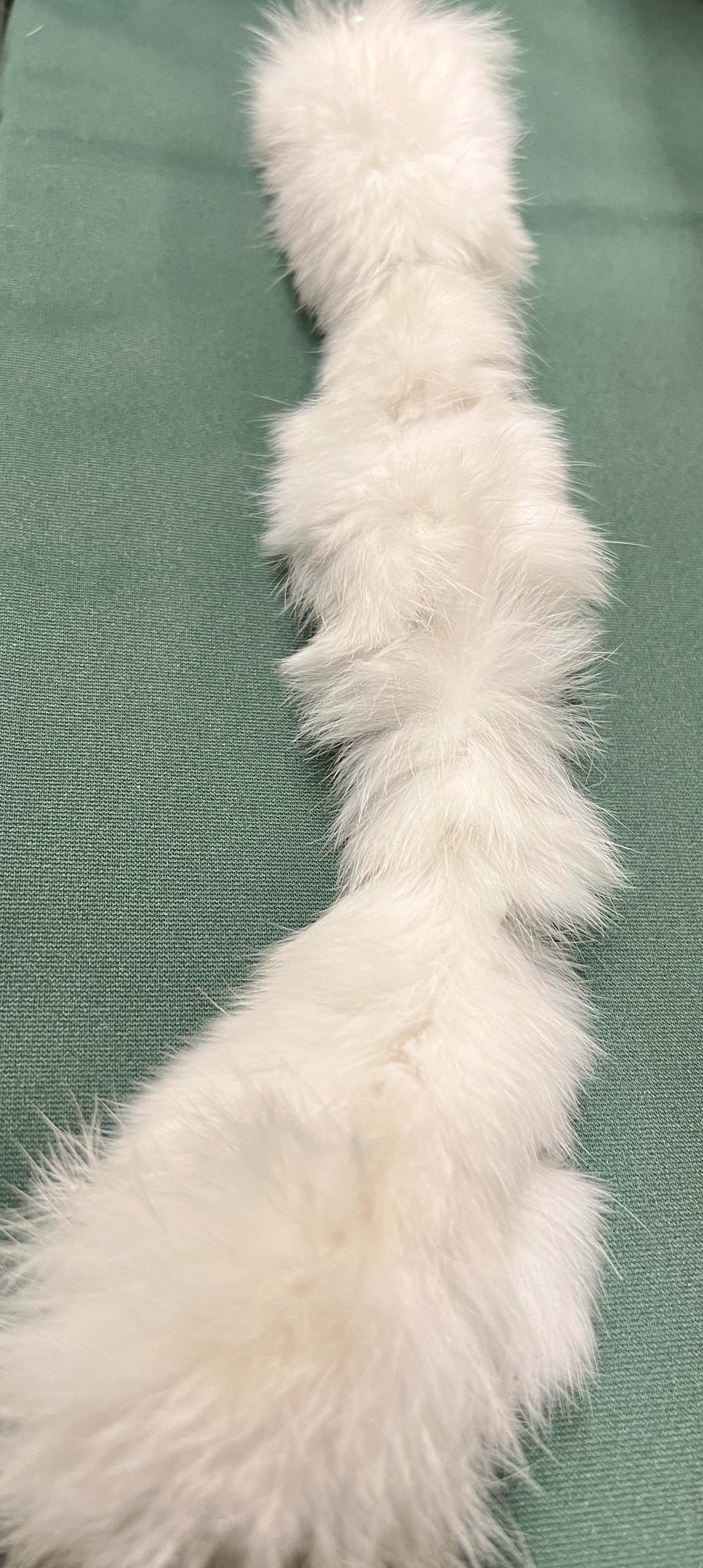 Anhänger "Fluffy" – Vielseitiger Spielspaß für Kratzbaum und Katzenangel