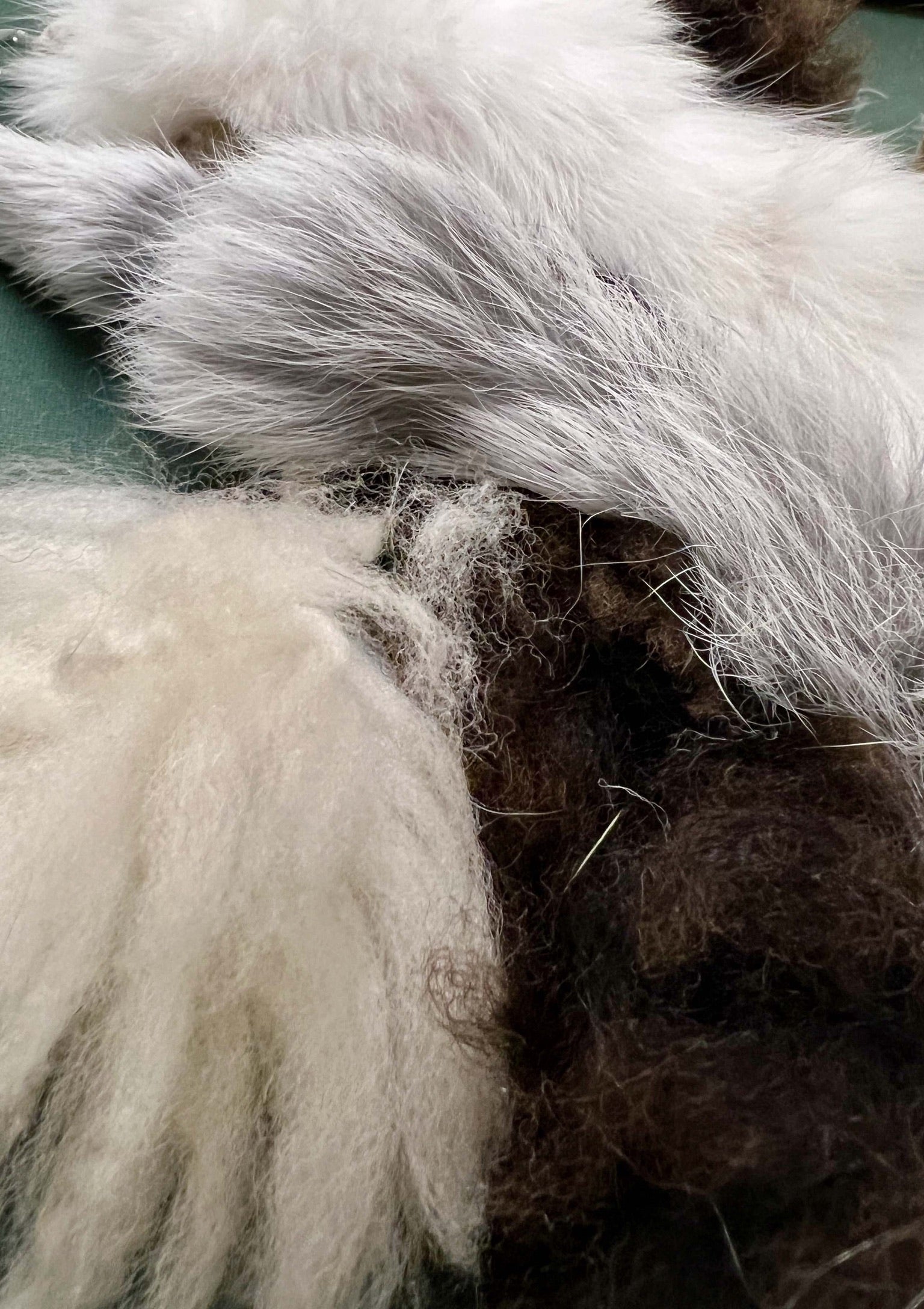 Anhänger "Fluffy" – Vielseitiger Spielspaß für Kratzbaum und Katzenangel