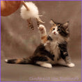 Bild in Galerie-Betrachter laden, Stab Kitty Petit – Elegantes Spielvergnügen für anspruchsvolle Katzen
